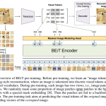 「BEiT: 画像処理版のBERT」自己教師あり事前学習のためのモデルBEiTを詳細解説！