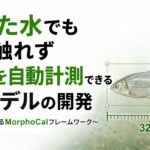 【弊社社員共著】濁った水でも魚に触れず体長を自動計測できるAIモデルの開発 ～養殖業を変えるMorphoCalフレームワーク～
